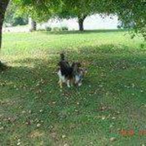 Meet your Posher, Sandra